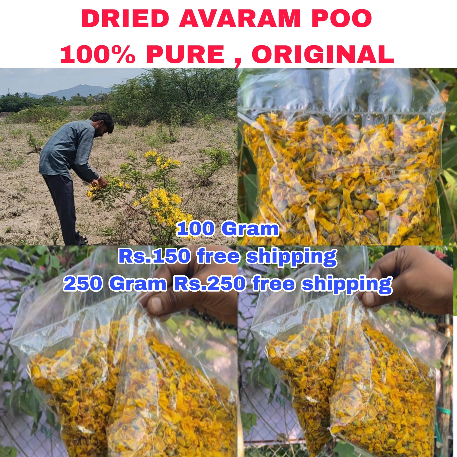 Main Product Image